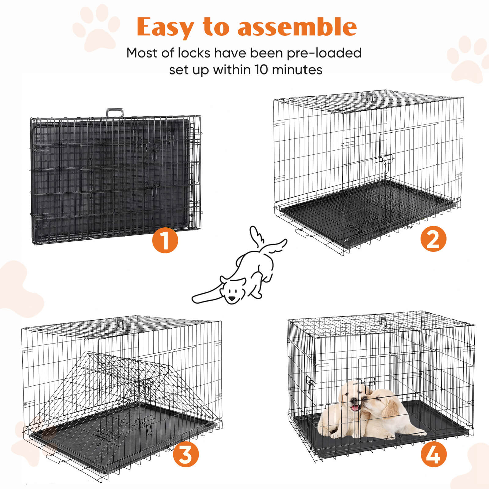 Foldable Double Door Dog Crate with Divider