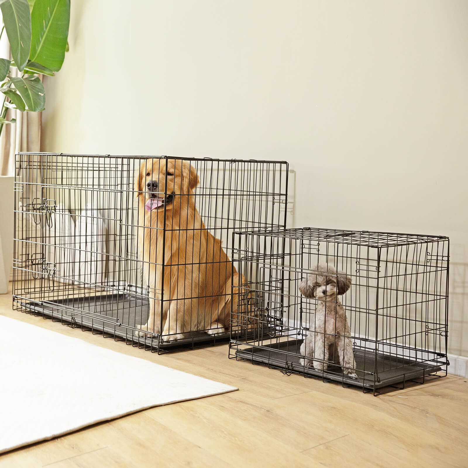 Foldable Double Door Dog Crate with Divider