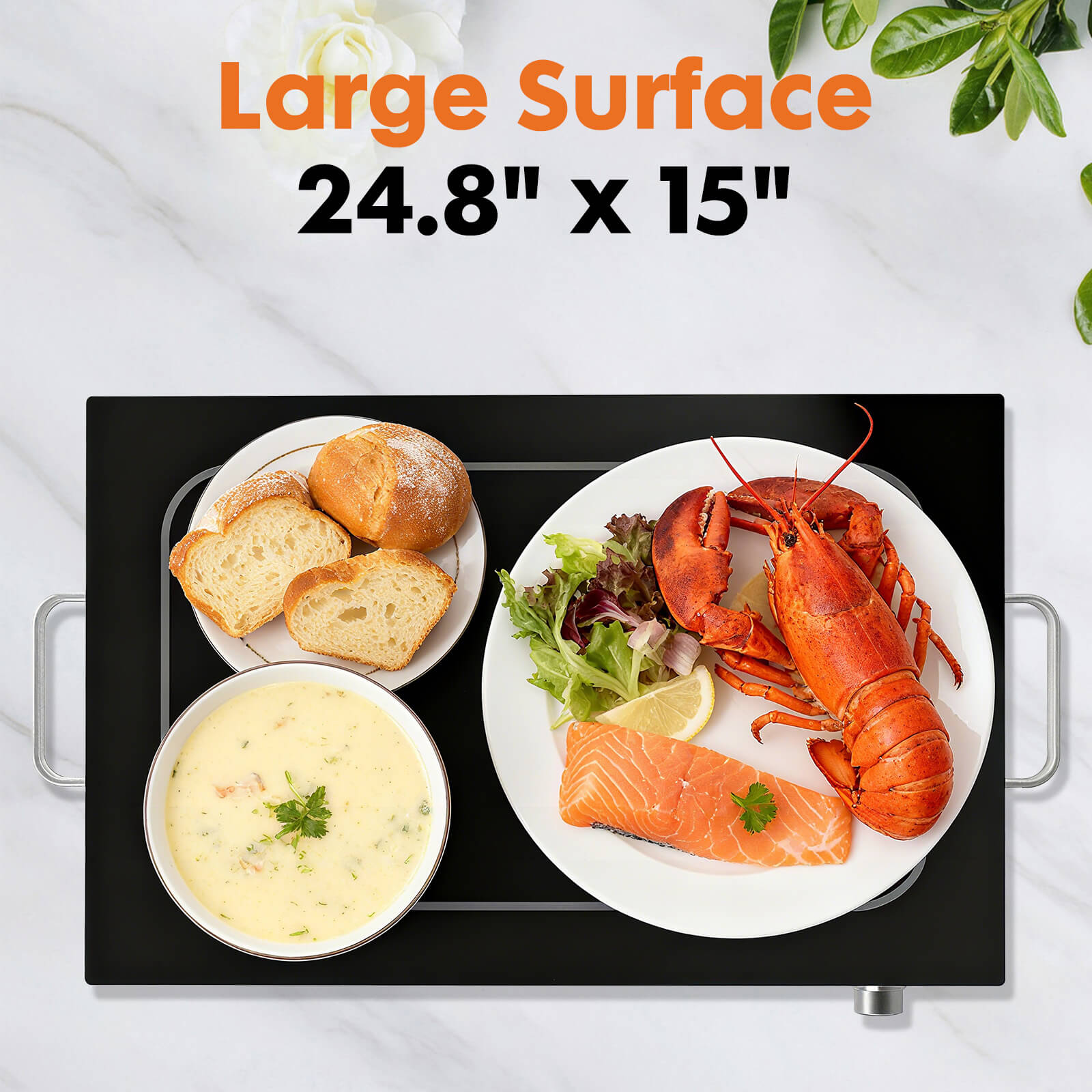 electric food heating tray