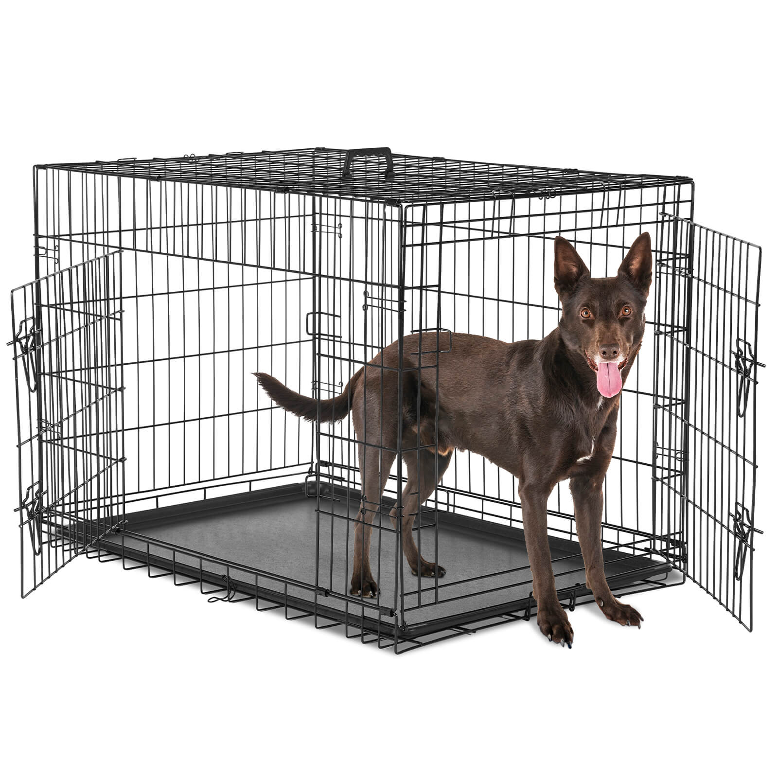 Foldable Double Door Dog Crate with Divider