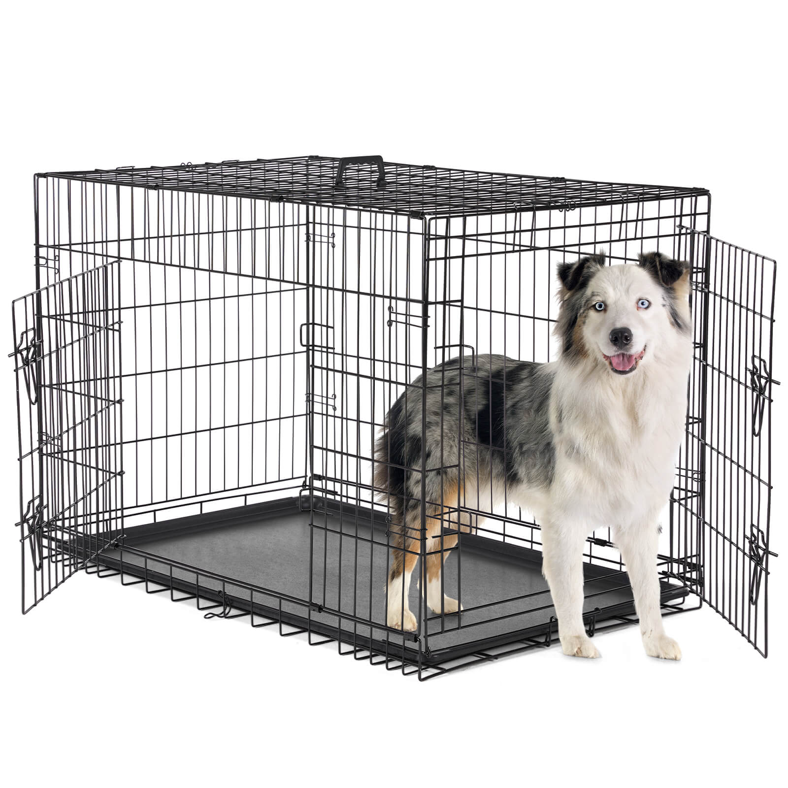 Foldable Double Door Dog Crate with Divider