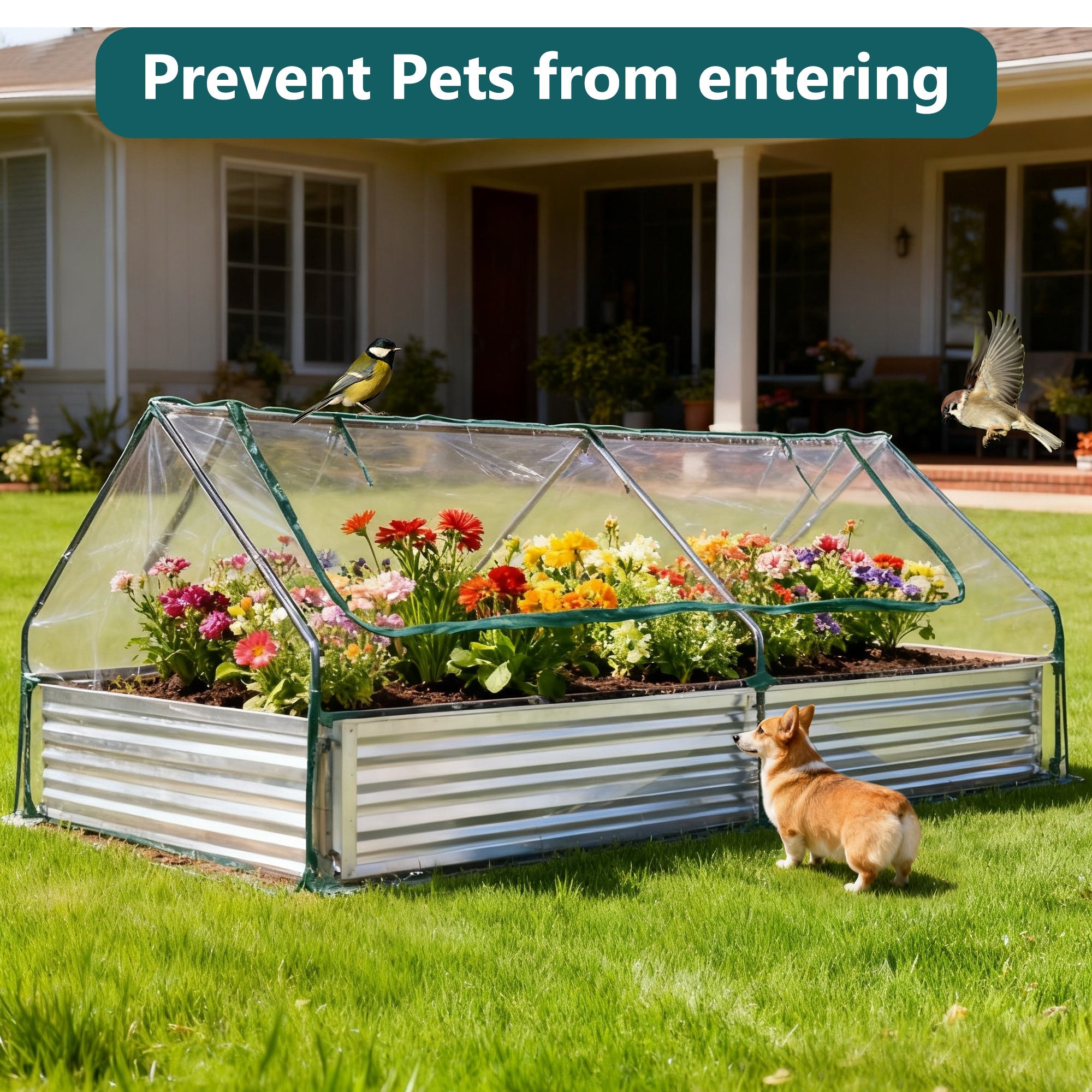 Mini Greenhouse Raised Garden Bed