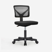 desk chair with lumbar support for sale