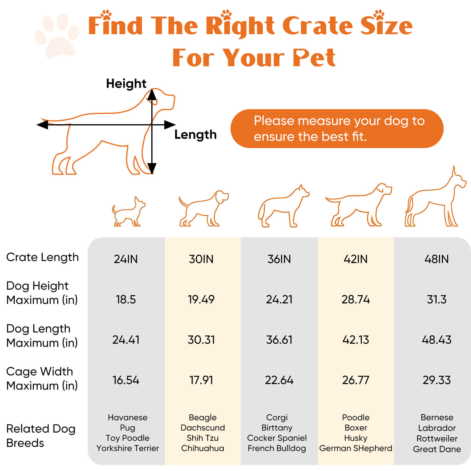 Foldable Double Door Dog Crate with Divider