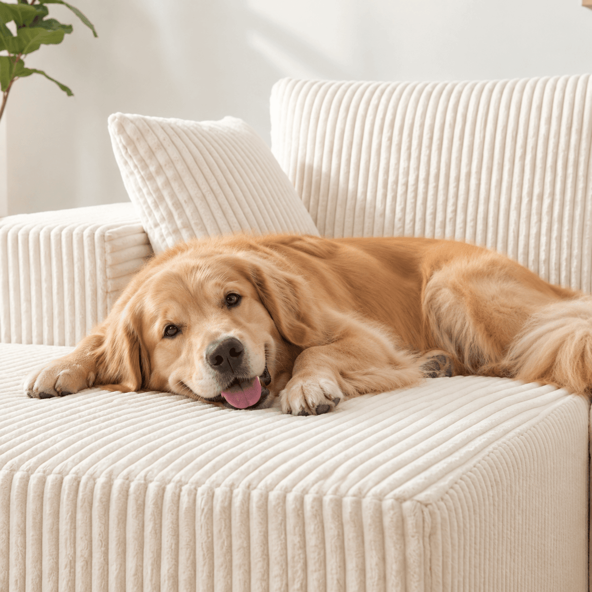 108 Modular L-Shaped Sectional Sofa with Chaise Lounge